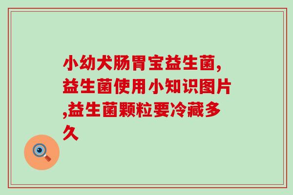 没有益生菌的猫粮能吃吗(可否给猫不含益生菌的猫粮？)