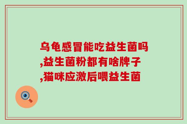 排名第一的益生菌白芸豆(提高免疫力，百发百中的益生菌白芸豆)