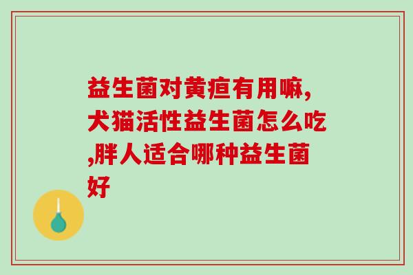 泰迪狗狗吃的益生菌牌子排行榜(泰迪狗狗益生菌品牌排行榜)