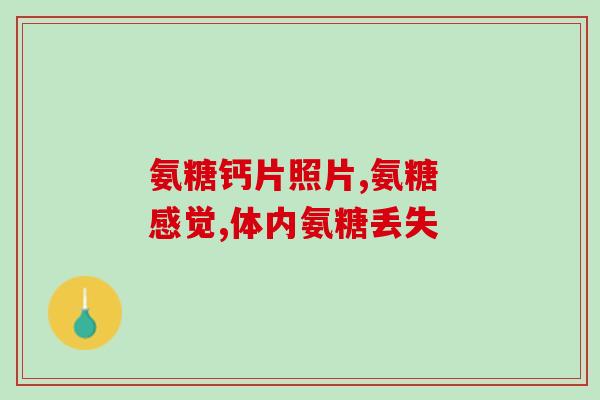 氨糖生产技术工艺指导(氨糖生产工艺指南)