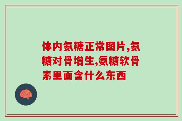 氨糖药物和保健品(氨糖：药物还是保健品？)