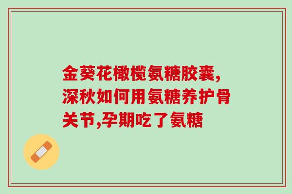 氨糖美辛溶肠溶片说(氨糖美辛溶肠溶片：缓解关节疼痛的利器)