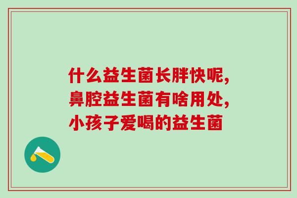 添加益生菌的米饼叫什么(益生菌米饼——增强肠道健康的美味选择)