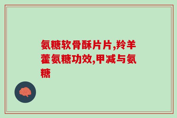 氨糖的模板(保护关节健康的必需品：氨糖的功效与用途)