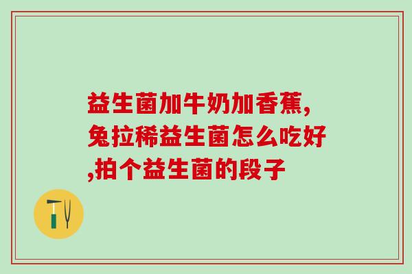 猫咪益生菌北美？探讨猫咪肠道健康的重要性及益生菌的作用？