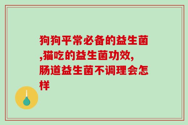 猫停益生菌拉肚子怎么办(猫拉肚子怎么办？停益生菌帮你解决！)