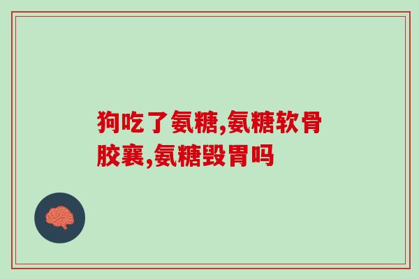 海正产氨糖胶囊和美国氨糖(海正生物推出氨糖胶囊，与美国氨糖同效果)