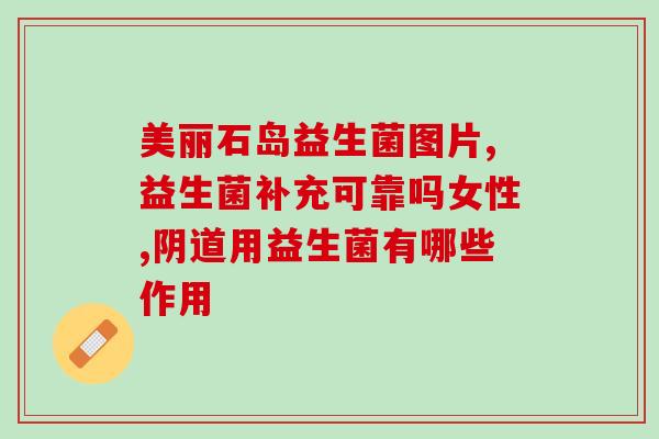 益生菌全盖沙琪玛草莓味(沙琪玛草莓口感升级，放心享受盈盈发酵益生菌)