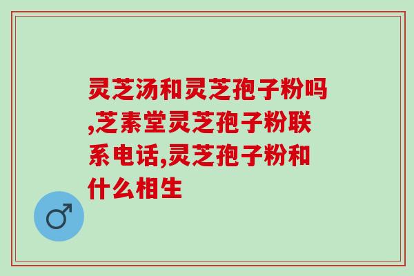 啊灵芝孢子粉的功效及使用方法