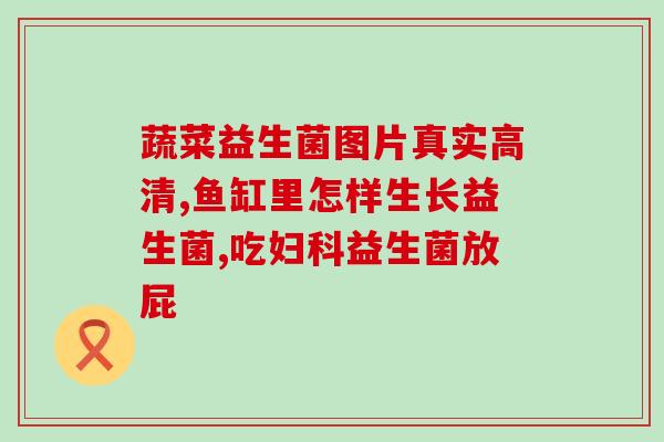 狗狗吃益生菌有什么好处？探究益生菌对狗狗健康的影响？