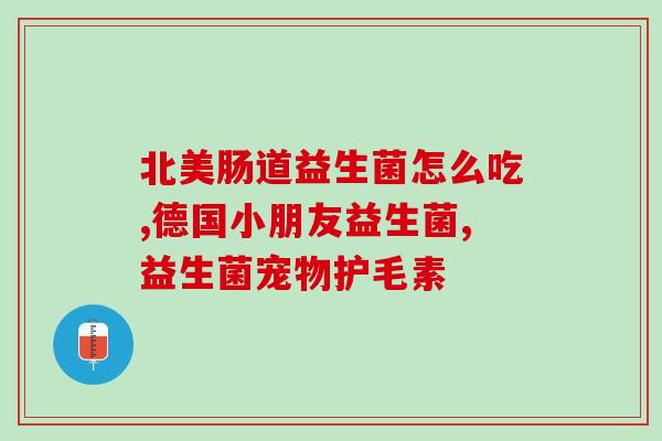 泰迪益生菌零食怎么吃(怎样吃泰迪益生菌零食才健康？)