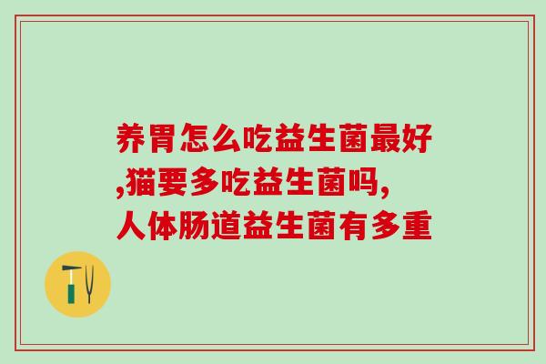 比熊什么时候需要补充益生菌(比熊何时需要添加益生菌？)