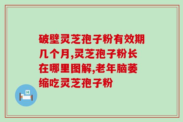 天三奇灵芝孢子粉的功效(天三奇灵芝孢子粉：强身健体、增强免疫力的优选选择)