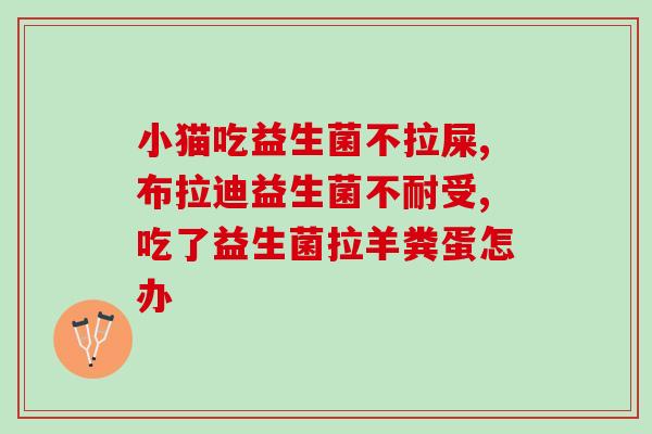 早产婴儿喝什么牌子益生菌？为早产儿选择合适的益生菌品牌？