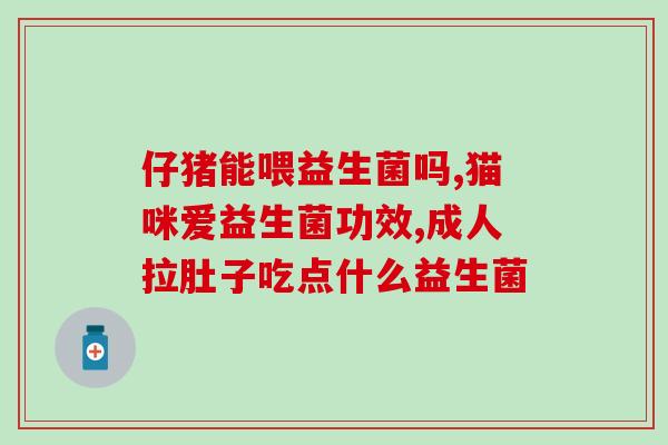 狗狗一直喂益生菌可以吗(长期喂养狗狗益生菌是否可行？)