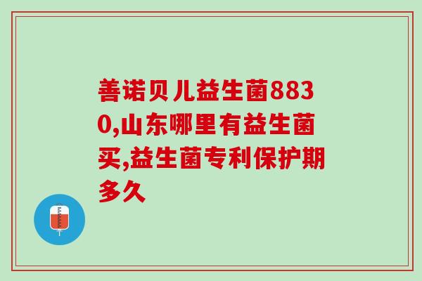 益生菌拌在猫饭里？如何让猫咪更健康的饮食？