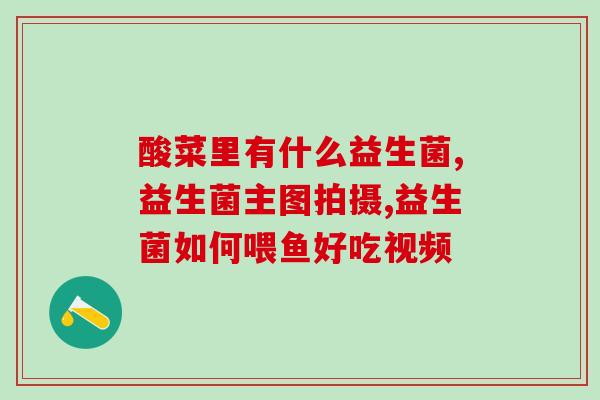 益生菌咀嚼片自营？健康生活的首选？