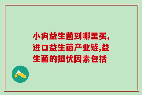 焕白抗糖益生菌怎么样(焕白抗糖益生菌获高评价)