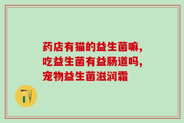 猫咪益生菌有必要天天吃吗？探讨猫咪益生菌的摄入频率？