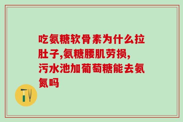 人工合成氨糖(合成氨糖：重新定义制药业。)