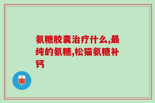 修正软骨素的功效(软骨素的益处：提高关节健康和运动效能)