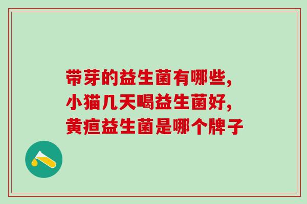 益生菌的服用时间？了解益生菌最佳服用时间？
