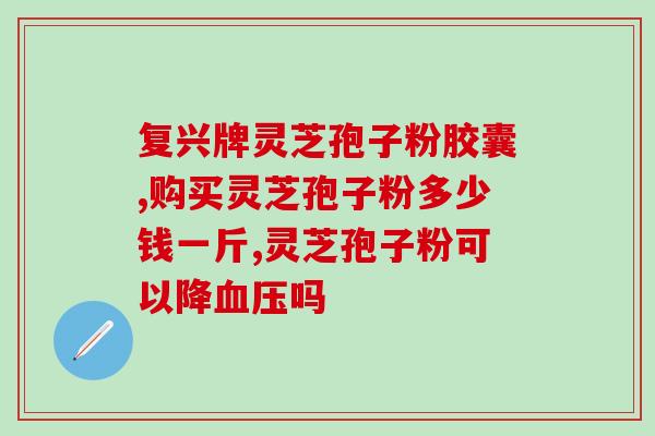 孢子粉的500克报价(孢子粉500克价格是多少？)