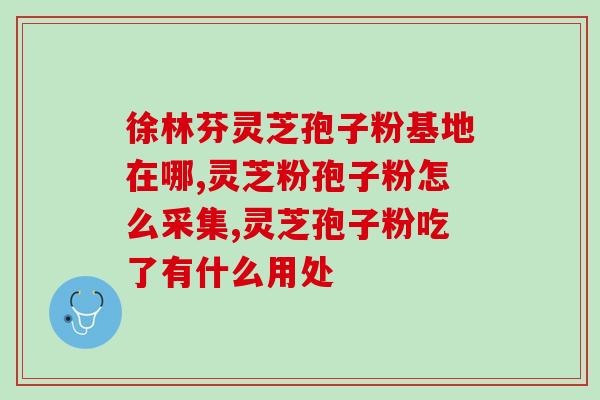 孢子粉的包(孢子粉包装重量汇总)