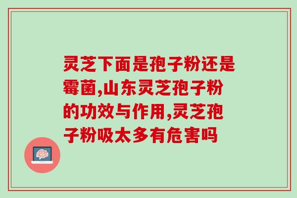 孢子粉的保健品(孢子粉：益生菌类保健品的明星)