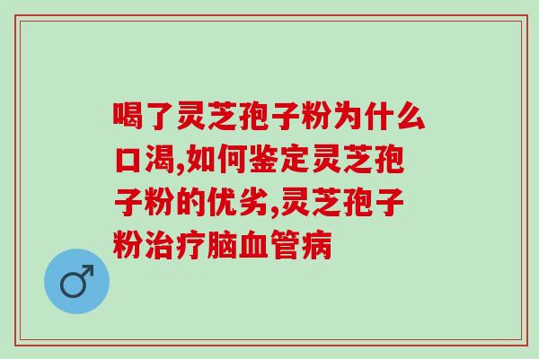 孢子粉真空破壁机(孢子粉护理新选择，打造真空破壁机！)