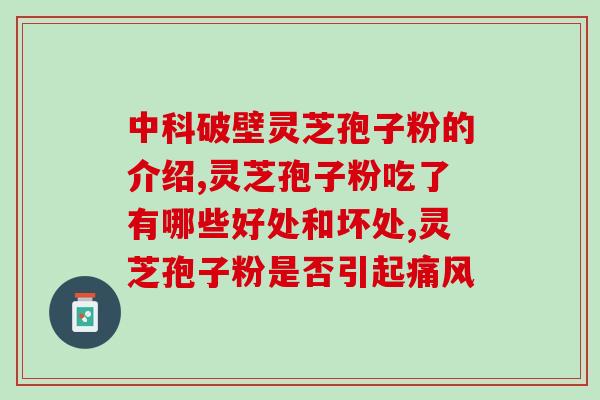 宏芝堂破壁灵芝孢子粉(宏芝堂灵芝孢子粉：打破壁健康能量滋养全家)