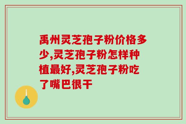孢子粉破壁机碾压式(重构孢子粉破壁机--碾压式过程有何改进？)