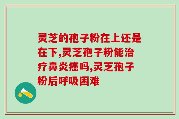 孢子粉精品包装盒(高雅设计，孢子粉包装盒展现自然美 —— 一个恢弘的大自然世界)
