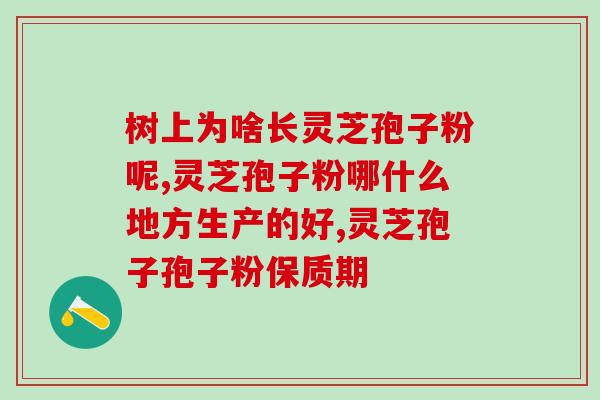 孢子粉破壁是怎么回事(了解孢子粉破壁的原理及作用！)