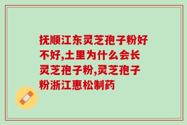 宁波灵芝孢子粉招商信息？瑞草灵芝孢子粉一百元福利，都有哪些福利活动