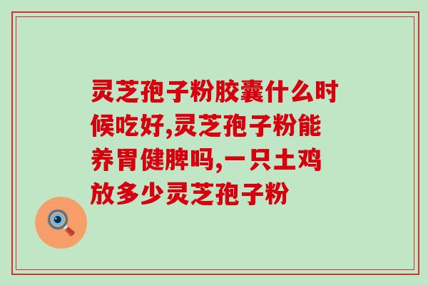 孢子粉空腹可以吃(空腹可食用的孢子粉)
