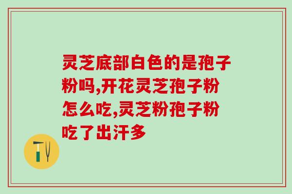 孢子粉胶囊与粉末(孢子粉的新选择：胶囊与粉末对比)