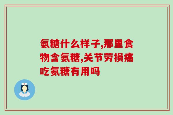 吃软骨素折耳猫好了(软骨素治好了折耳猫？！)
