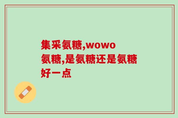 半软骨素折耳猫(半软骨素帮助治疗折耳猫，焕发健康光彩)