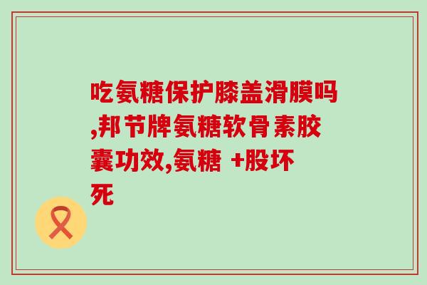 复维达软骨素(复维达软骨素——缓解关节问题利器)