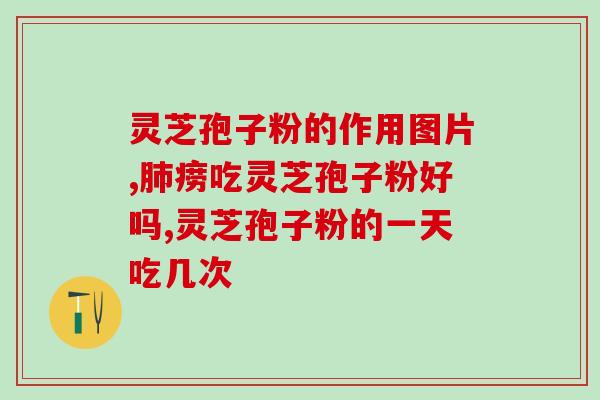 灵芝多糖的含量高好吗？灵芝多糖治失眠吗