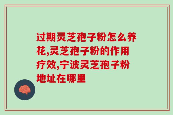灵芝子实体和灵芝孢子？盆景灵芝是真的灵芝吗