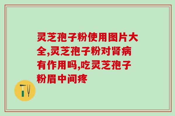 灵芝孢子(破壁(灵芝孢子粉：强化免疫力的自然健康之选)