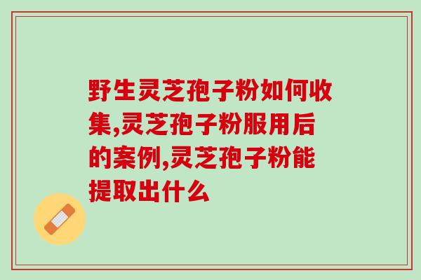 灵芝孢子与灵芝提取物的区别(灵芝孢子和灵芝提取物的特点及应用场景的不同)