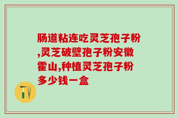 灵芝孢子养生皂ppt(灵芝孢子养生皂--提升你的肌肤健康和抵抗力)