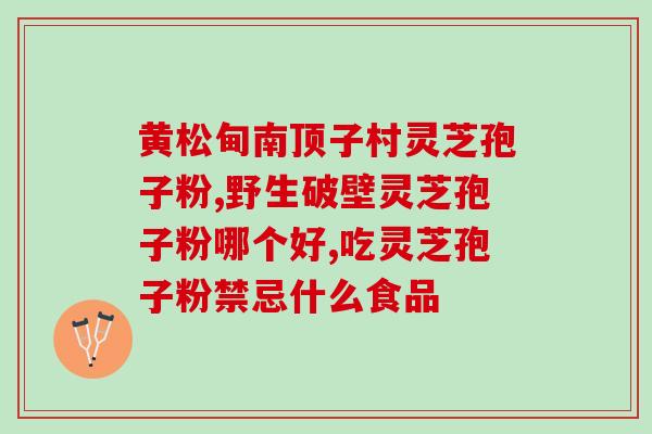 灵芝孢子丸？什么是纯正的灵芝孢子粉