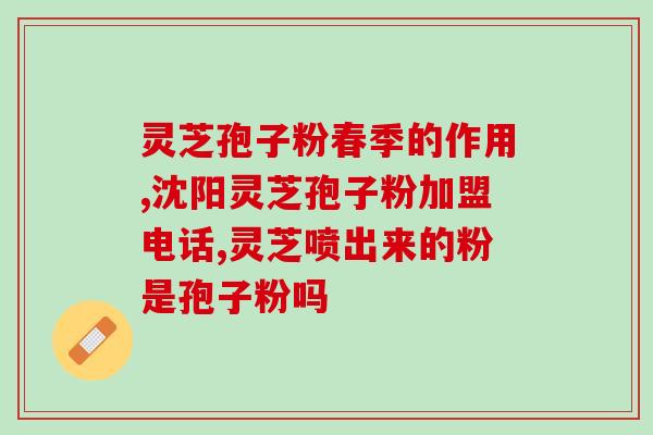 灵芝好还是灵芝孢子粉的功效 (灵芝孢子粉与灵芝：哪个更有效？)