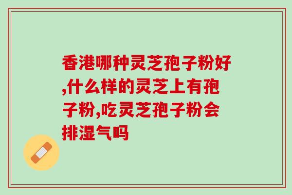 灵芝孢子原粉前景怎么样(灵芝孢子原粉市场前景如何？)