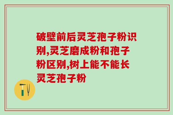 灵芝孢子油中的三?孢子粉有油花和无油花有什么区别 灵芝孢子油中的三?孢子粉有油花和无油花有什么区别