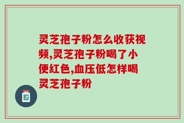 灵芝孢子油会通便吗怎么吃？灵芝孢子粉真的可以提高免疫力吗